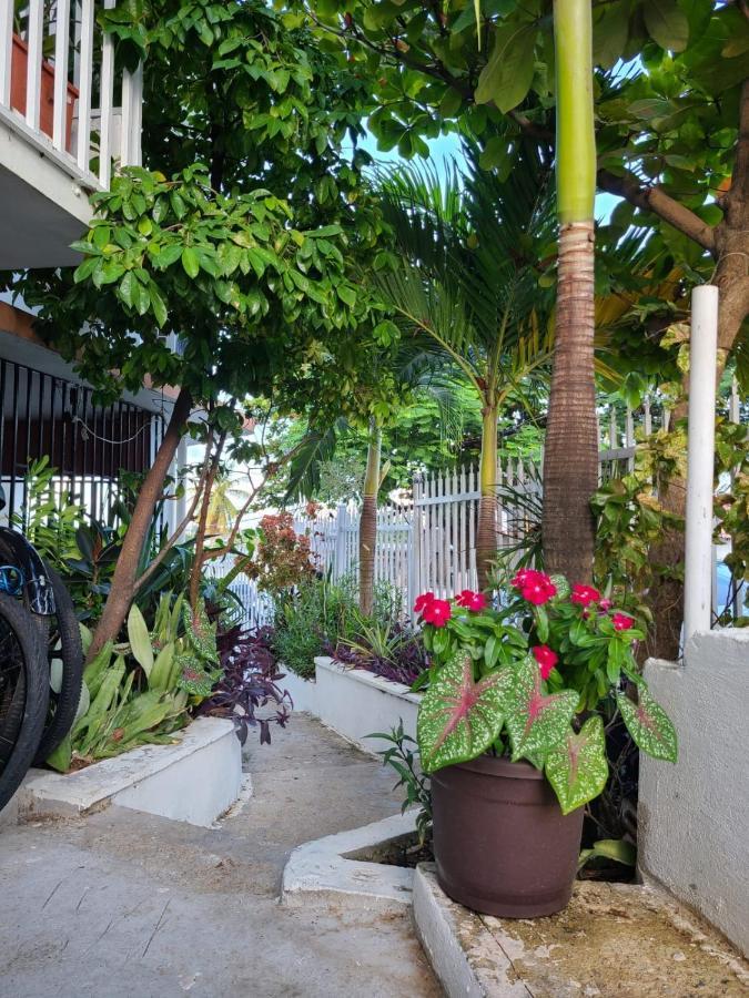 Casita Natural Village #4, #6 Y #8 サンジョアン エクステリア 写真